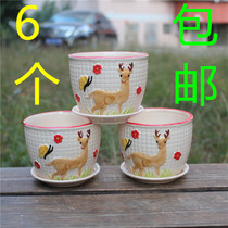 Fleshy ceramic flowerpot flower basket glass vase flower simulation flower creative retro small flower pot