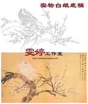 Chen Zhifo HD Gongbi painting white sketch background-King style Eagle eagle animal painting Chinese painting