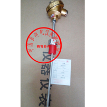  WRNK-131 Armored thermocouple Fast response K-type armored thermocouple PT100 bendable temperature probe
