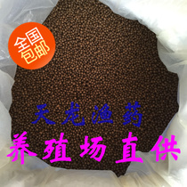 Turtle food and dried shrimp Super crocodile Brazil Chinese grass turtle turtle turtle turtle special feed turtle special national