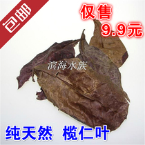 Pure natural sloth leaves Leurens leaves lower fish tank PH value lowering acid regulation improves water quality natural antibacterial