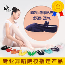 Baiwu Garden Girl Ballet Practice Shoes Adult Dance Cat Paw Shoes Soft Two-Bottom Gymnastics Professional Body Shoes