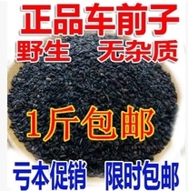 Wood psyllium psyllium psyllium psyllium seed 500g producing area straight