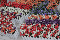 Small Tea Bud (5 colors into) Pearl Rose imitation flower living room decoration flower pastoral silk flower fence set