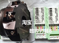 F5141 B32 100 Z09 12 Walter tool plate Pre-inquiry]