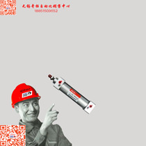 Delixi Pneumatic Components Standard cylinder SC 40X125 physical store]