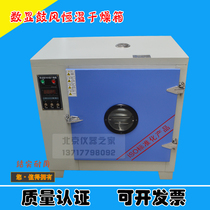 Number-display blast thermostatic drying cabinet 101 series Number of digital display thermostatic oven industrial oven hot air circulation oven