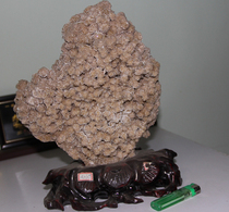 Kisky stone Maoshi original stone ornamental stone boutique ornaments Stone Desert rose stone ornaments flower clusters