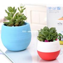 Hot Creative 5Pcs Rainbow Stone More Meat Mini Round Fl