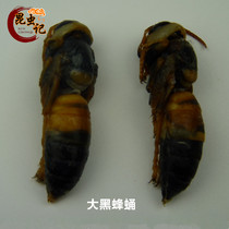  Fresh big bee pupa Big black bee Fresh frozen delivery hornet Hu Feng bee pupa edible insect food 500