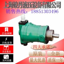 10 16 25 32 40 63 80 100MYCY14-1B Shanghai Graded variable high pressure axial piston pump