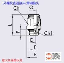 Italy Matt Walker metalwork male thread straight-through joint brass quick joint R series R1