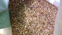 Natural river sand Pearl sand a pound