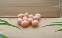 Simulation eggs duck eggs plastic chicken and duck eggs house toys simulation chicken and duck accessories supermarket furnishings