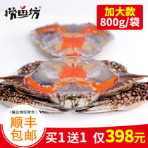 800g whole package Buy 1 get 1 free Ningbo specialty flying crab Zhoushan red cream crab Shuttle crab crab Drunk crab Choke crab