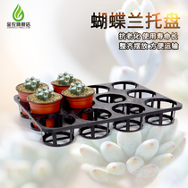 Special promotion seedling plug plate Phalaenopsis tray 12 hole 15 hole plug flower nursery pot bracket plastic