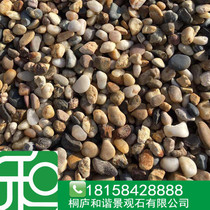 All kinds of specifications pebbles Natural rainstone 1-2 cm natural stone Rough stone Strange stone floor heating bean stone Goose soft stone