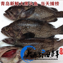 Qingdao fresh black head fish deep sea fish black skirt fish fresh seafood aquatic products 4kg