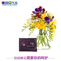 Auboa fresh-keeping liquid Dutch import fresh-keeping water extension agent nutrition agent for flower shop vaselife