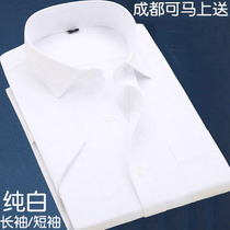 Summer mens shirt slim solid color shirt business non-iron professional White inch shirt short sleeve dress youth cotton size