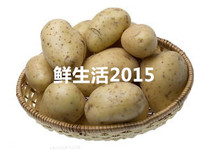 Fresh vegetables Fresh potatoes 500g Beijing-Tianjin-Hebei Arbitrary 6 pieces