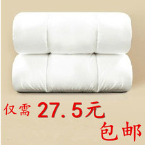 Special Price Beauty Quilt Core Beauty Body Massage Courtyard Fumigated Quilt Air Conditioning Quilt by children Small quilt core 3 kg Winter quilt