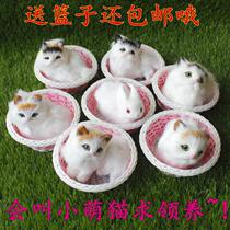 Simulation cat toy Plush doll decoration Fake cat can bark cat cute animal girl gift doll