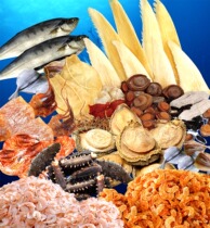 36 poster board spray painting sticker material 36 seafood picture sticker poster