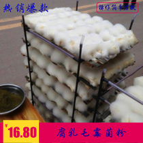 Xiaojiajun Edamame bean curd bacteria Red bean curd tofu milk koji fermentation bacteria Okara mold thousand sheets 100g Edamame stinky tofu