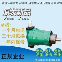  10 16 25 32 40 63 80 100MYCY14-1B Qidong high pressure hydraulic axial plunger oil pump