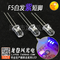 F5 white hair purple purple light emitting diode 5mm purple lamp LED lamp beads banknote inspection indicator light