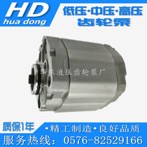 The power unit gear pump car tailgate pump CBK-F00 8 1 0 1 3 1 6 2 1 2 5 3 2