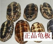 Chinese herbal medicine tortoise plate turtle shell turtle shell turtle shell turtle plate natural without processing 500 gr