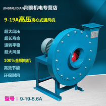 9-19-5 6A-11kw 18 5kw high pressure centrifugal fan blower material conveying industrial induced air pumping