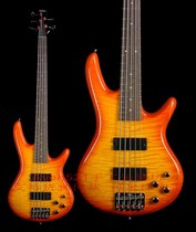 Customized Ibanezs GSR205F CS 5-string electric bass