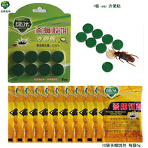 Green leaf cockroach Cockroach package cockroach medicine glue bait removal cockroach house medicine powder adhesive board catch household instant paste insecticide