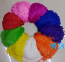 Ostrich feather 25-30cm wedding decoration headwear mask performance props DIY accessories Net red feather Wall