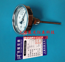 WSS-503WSS-301 Stainless steel axial bimetallic thermometer WSS-401WSS-402WSS-501