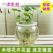 Plastic flower potted Big Vase copper flower bowl lotus green pot hydroponic plant set basket special flower pot