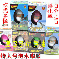 Dinosaur egg hatching toy large bubble water expansion Dinosaur egg hatching egg Childrens bubble water expansion animal model