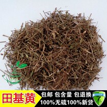 Selected Chinese medicine natural wild fields yellow grass yellow yellow pasta and lawn slip 500g