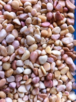 Wholesale natural yellow small stones washed stone terrazzo fish tank stone courtyard decorative caulking beautification