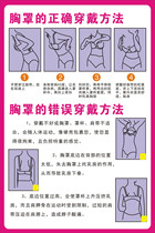 736 home poster board printed sticker material 265 underwear shop wearing method diagram