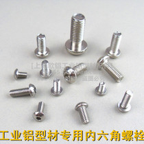  Special screws for industrial aluminum profile accessories M5M6M8 Pan head flat head semicircular head hexagon bolt M12*30