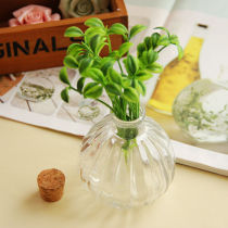 zakka hydroponic plant chlorophyte glass bottle drift bottle Lucky Star bottle small bottle with Cork