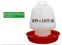 8 liter chicken thickening water feeder large chicken drinker poultry automatic water feeder kettle sink food trough bucket