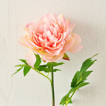 Lisa Peony Emulation Peony Flowers Peony Drug Fake Flowers Home Living Room Table Flower Furnishing Decoration Flowers