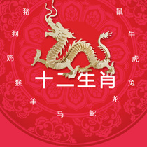 Ruoxiang Technology Wooden model assembly toys Educational animals 3D three-dimensional puzzles Childrens educational toys