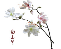 Simulation of single Magnolia Cotton tea indoor new Chinese Japanese Zen simple style white pink decorative floral art