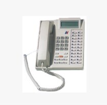 Guowei type 2 Chinese digital special function phone fake one lost ten